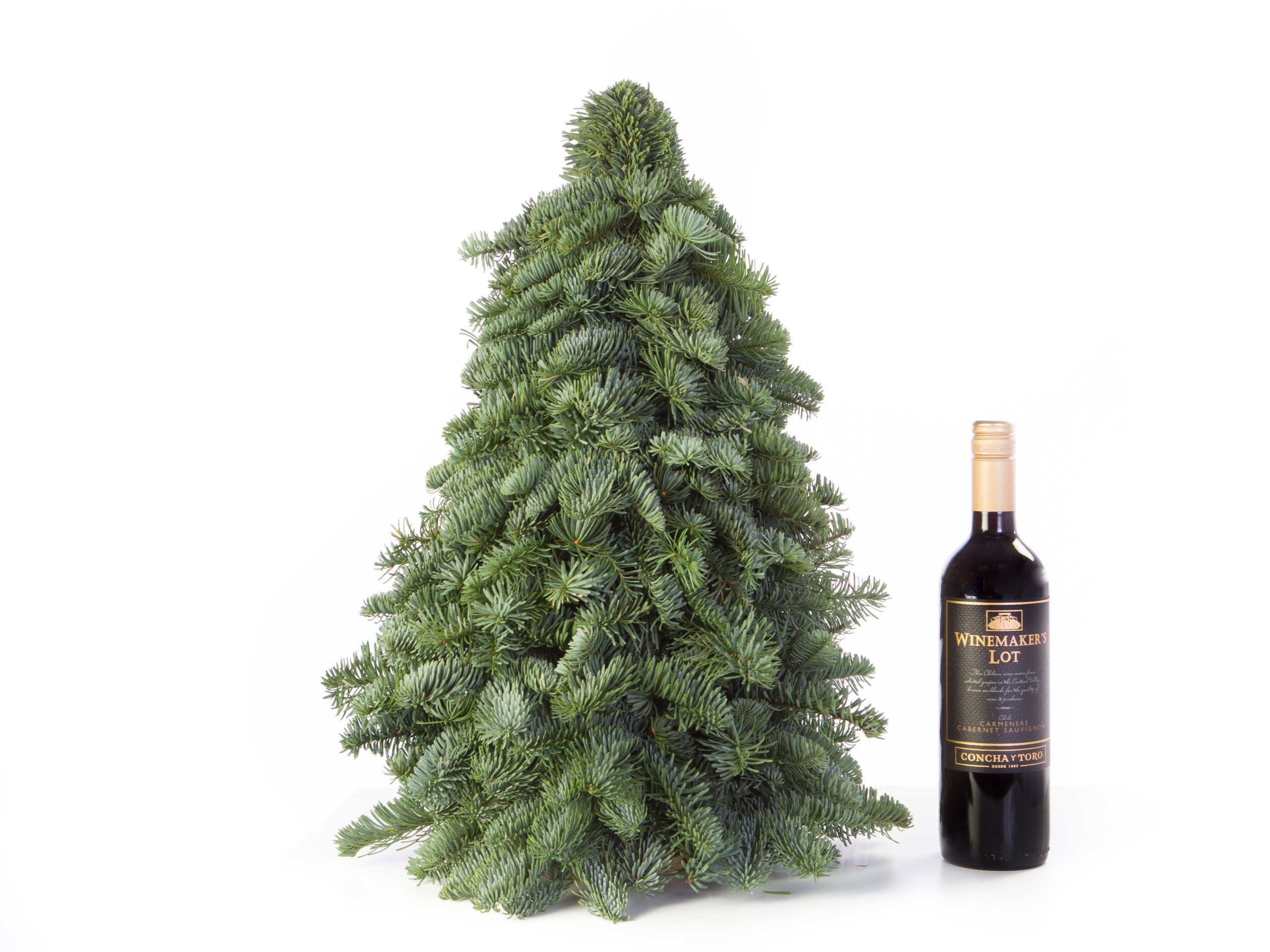 Bij naam Intens Terzijde Een mini kerstboom kopen? De #1 boompjes specialist van NL!