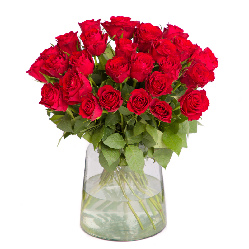 Rode rozen bezorgen? De #1 laagste prijs rode online!