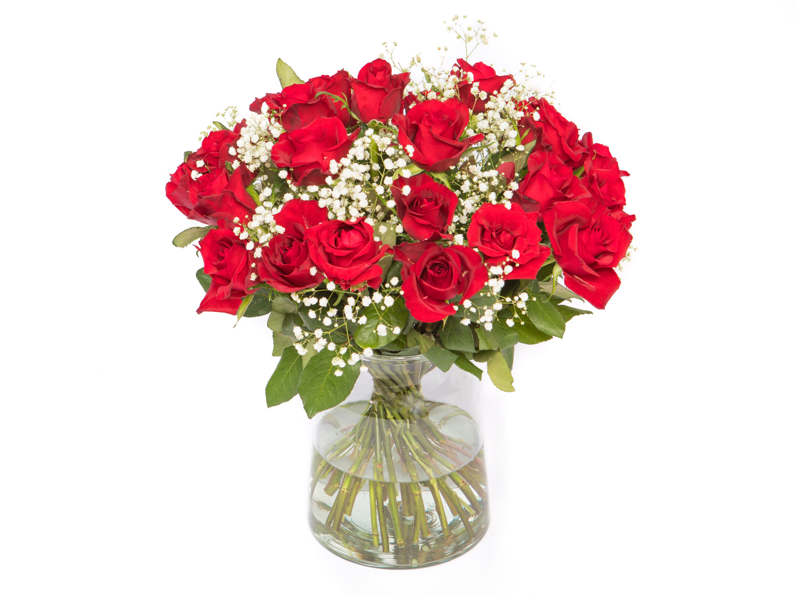 geboren Harmonie Romantiek Rode rozen met gipskruid kopen? De #1 met de laagste prijs!